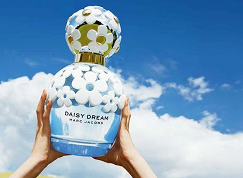daisy-dream